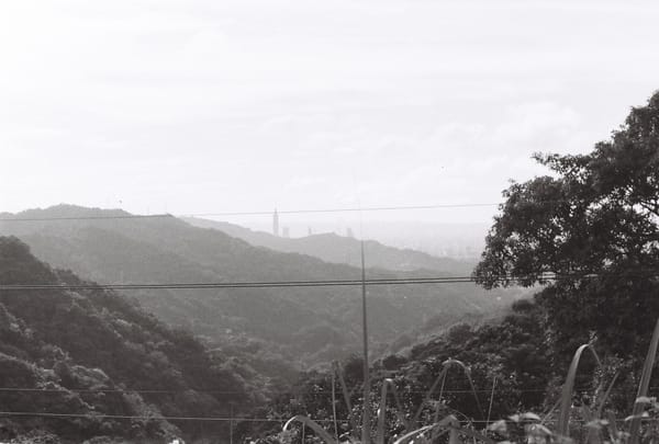 南港 曾俋理